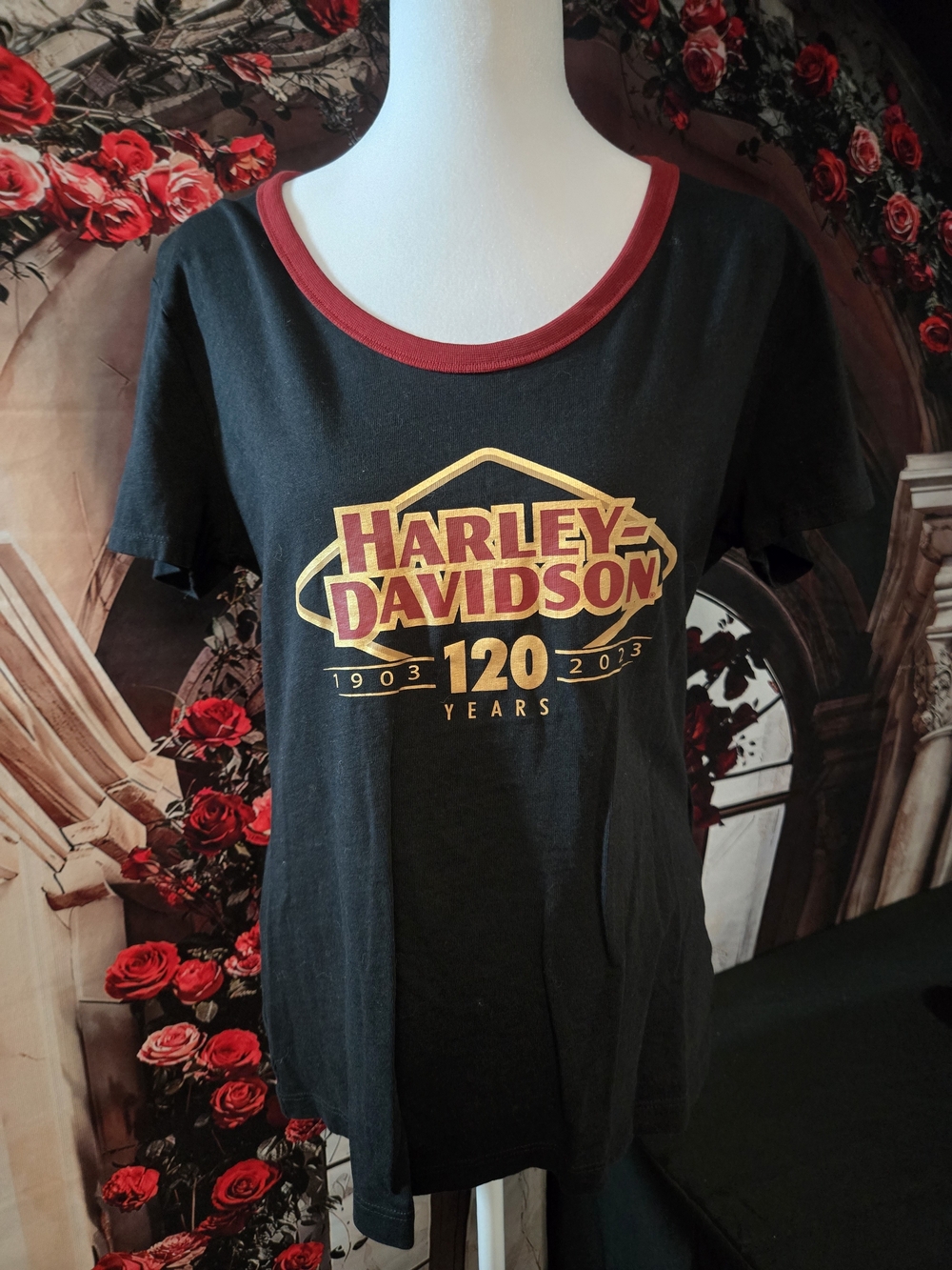 Harley-Davidson 120 Years Black & Red Graphic Tee